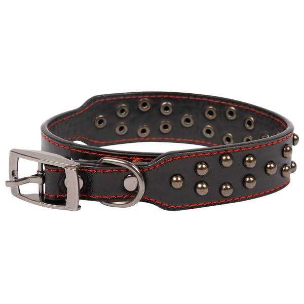 Studded Leather Dog Collar X9552