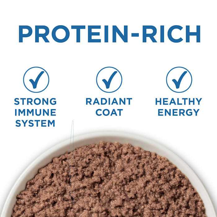 Chicken & Ocean Wet Cat Food R363