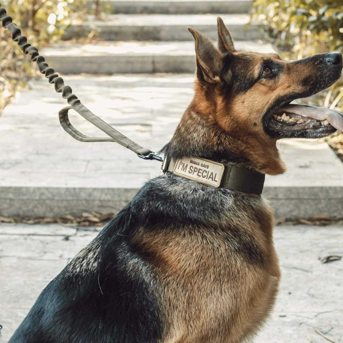 Tactical Dog Training Bungee Leash with 2 Control Handle Nylon Leads Rope S655