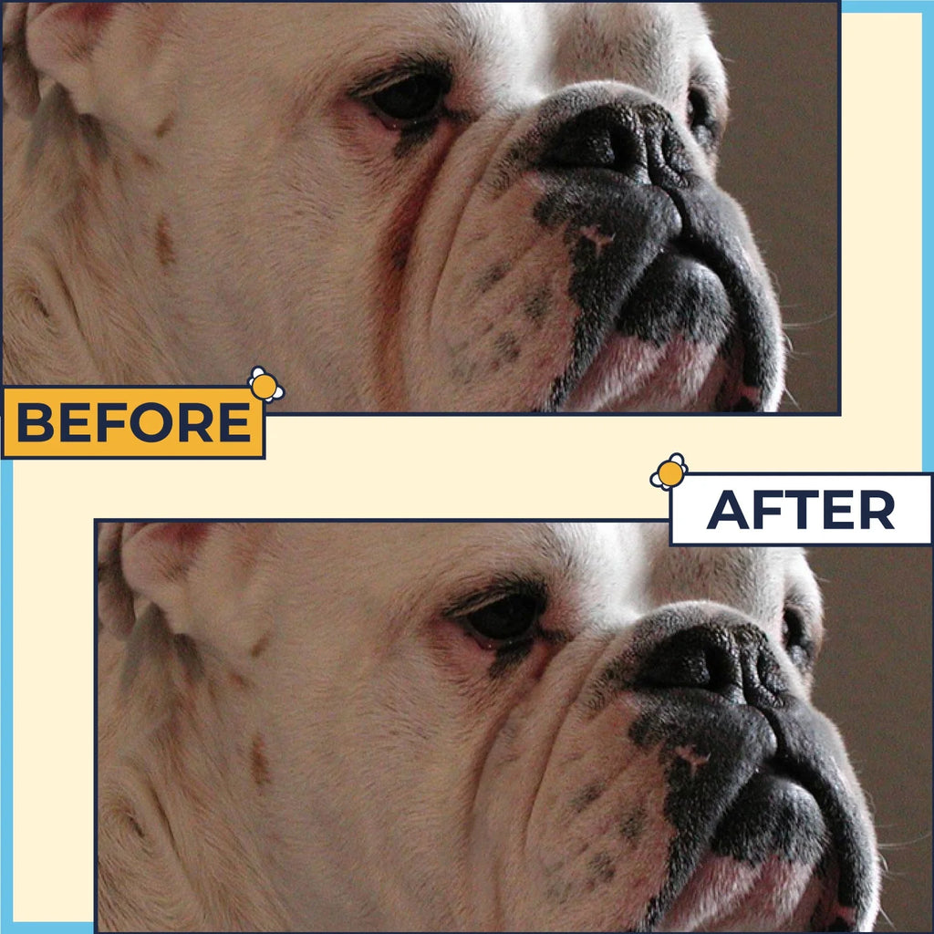 2 Oz Wrinkle Cream and 50 Wrinkle Wipes for Bulldogs V397