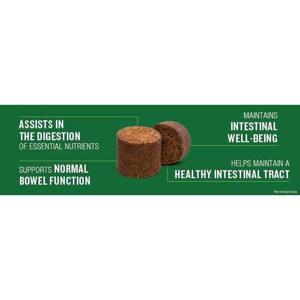 Probiotic Soft Chew Supplement for Dogs V269