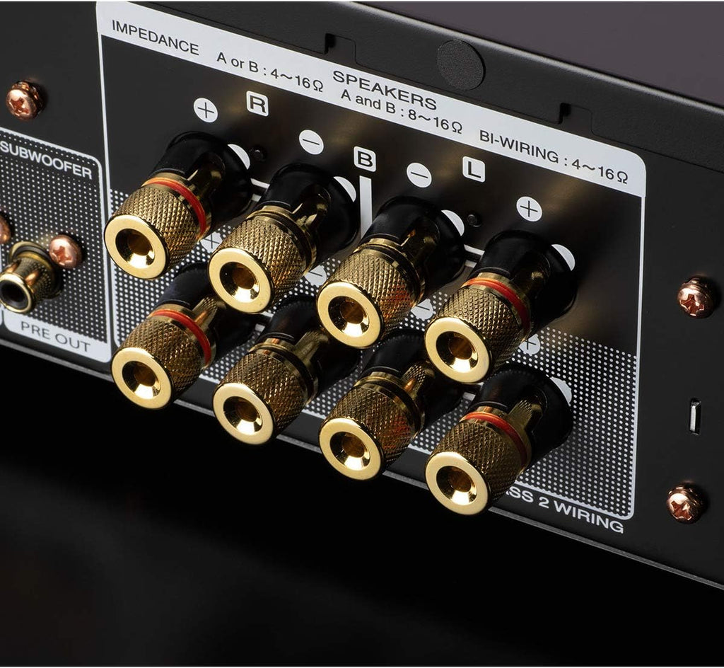 Integrated Amplifier with Digital Connectivity H443