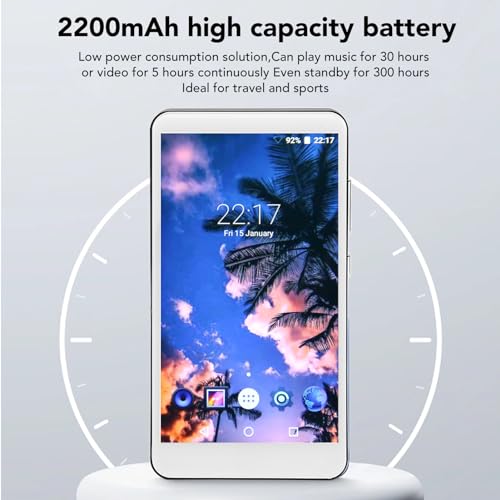 256GB Bluetooth MP3 Player with Speaker I984