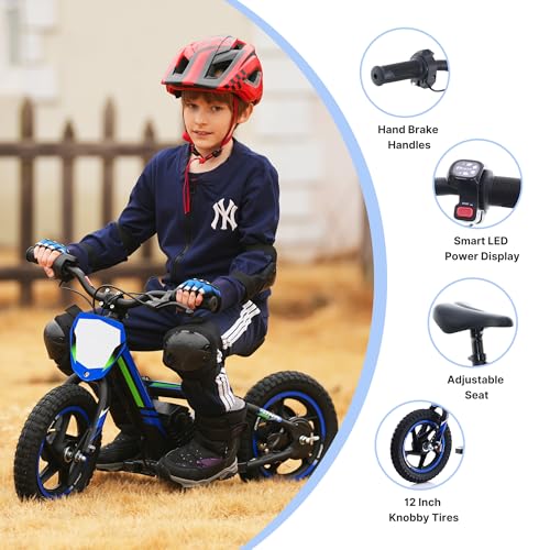 Lightweight 340W Electric Dirt Bike 24V 16-Inch Off-Road Tires P3657