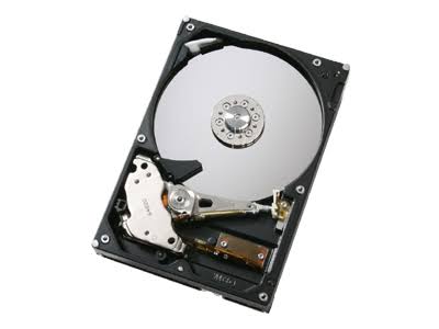 320 GB SATA Deskstar Hard Drive J191