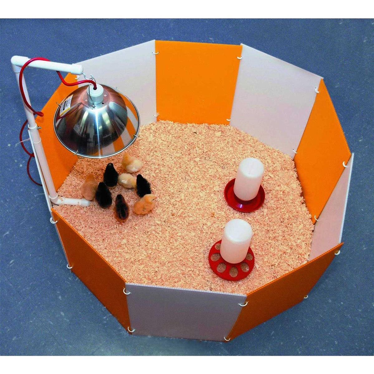 Baby Chick Starter Home W640785