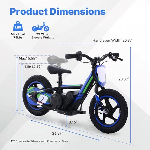Lightweight 340W Electric Dirt Bike 24V 16-Inch Off-Road Tires P3657