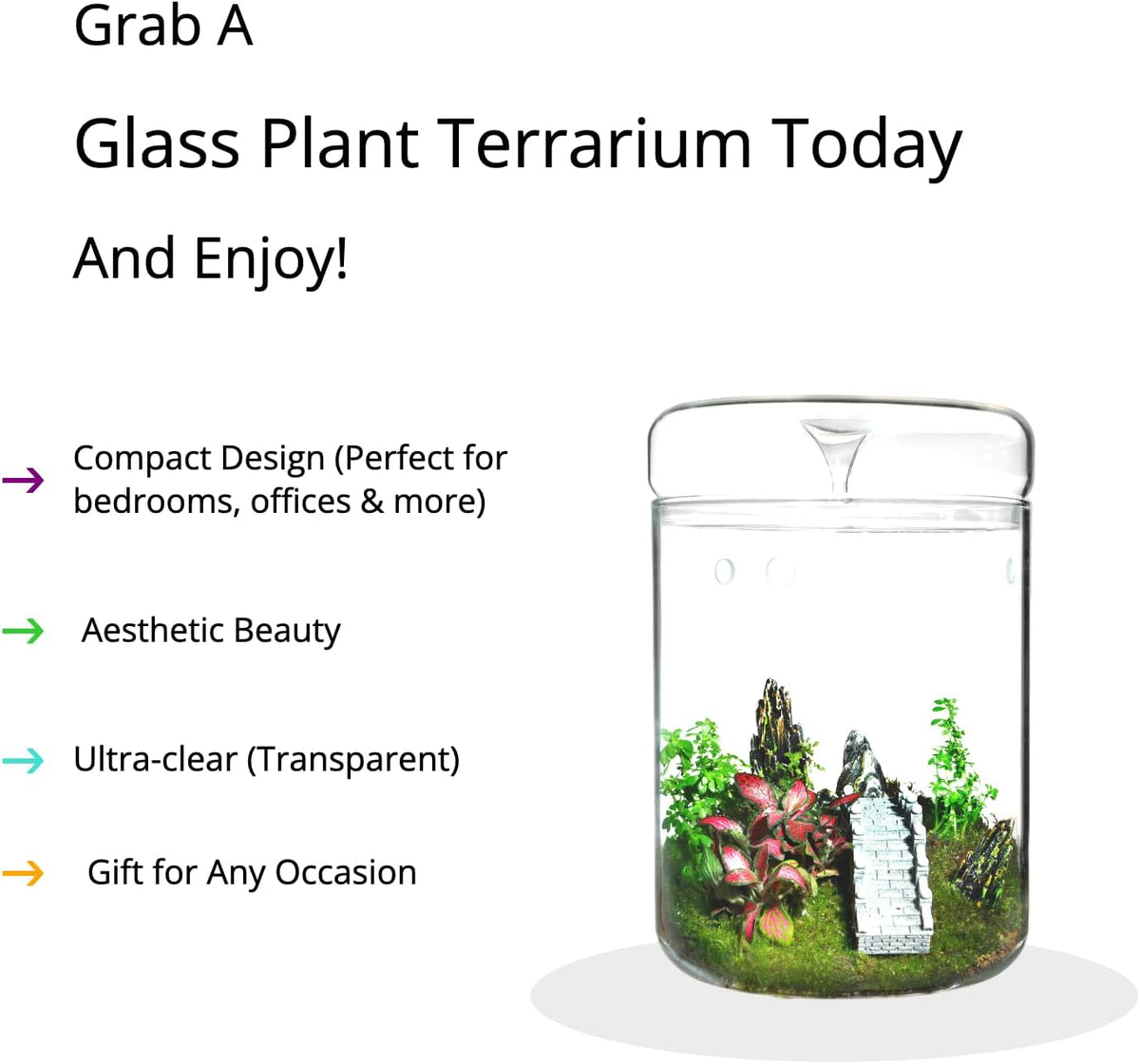 Glass Plant Terrarium – 4.7 x 7 in Small Glass Planter with Lid G8801