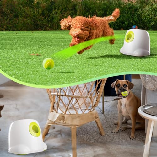 Automatic Ball Launcher for Dogs, includes 3pcs Tennis Balls Y860345