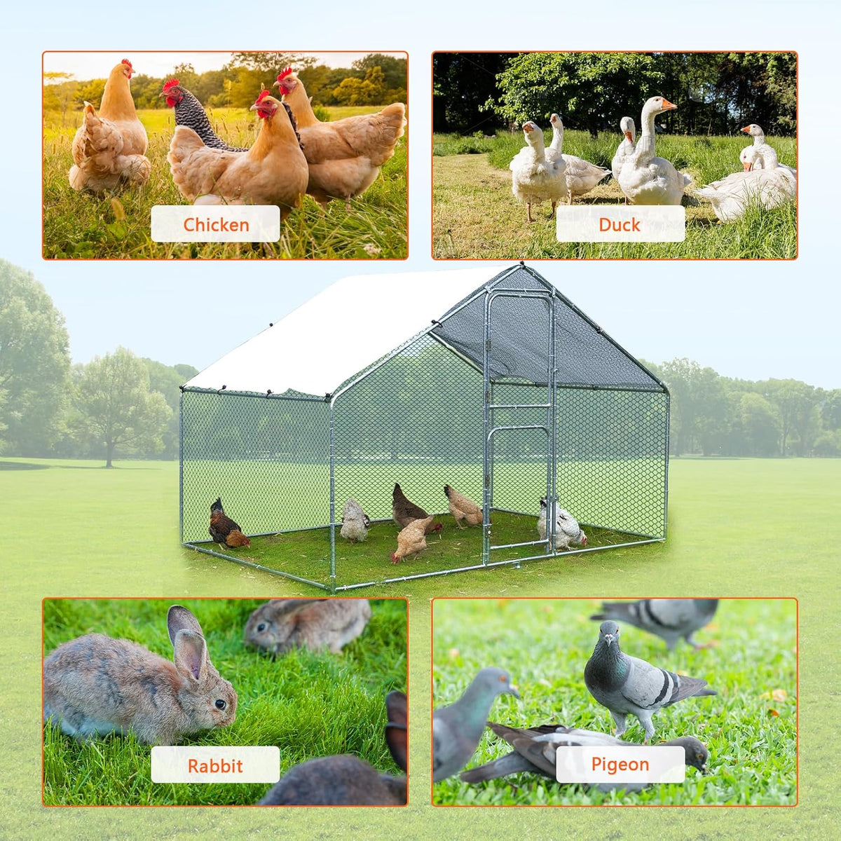 Large Metal Chicken Coop with Anti-UV Cover (9.8 * 6.6FT) H63516