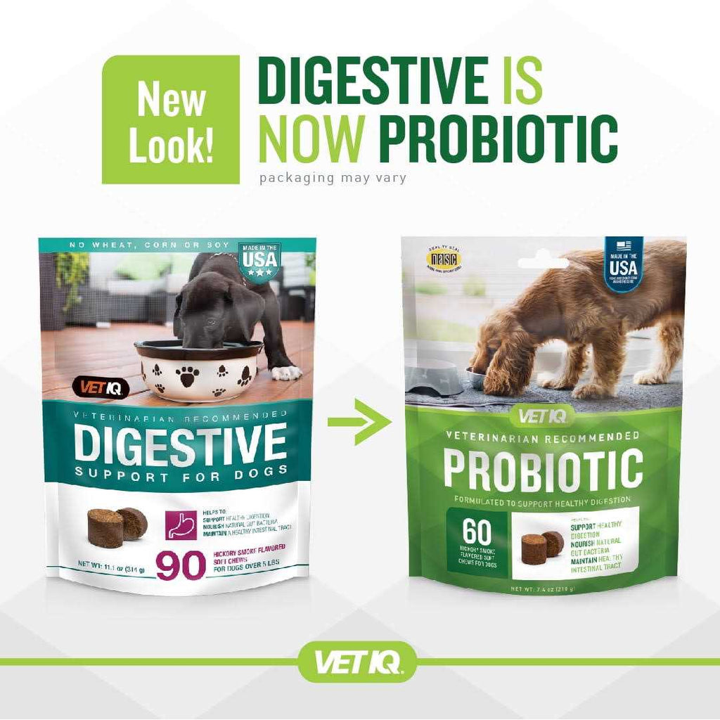 Probiotic Soft Chew Supplement for Dogs V269