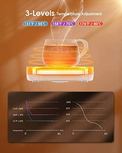 Electric Cup Warmer with Timer and 3-Temperature Settings I4384