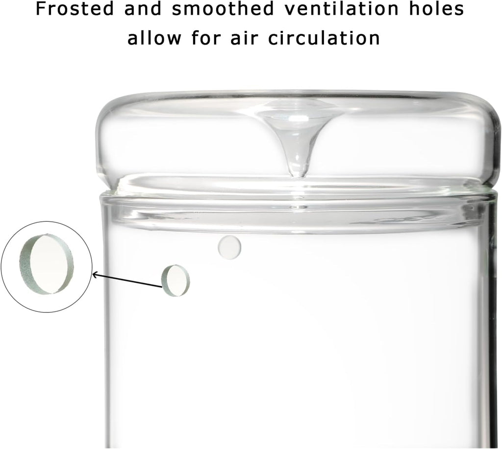 Glass Plant Terrarium – 4.7 x 7 in Small Glass Planter with Lid G8801