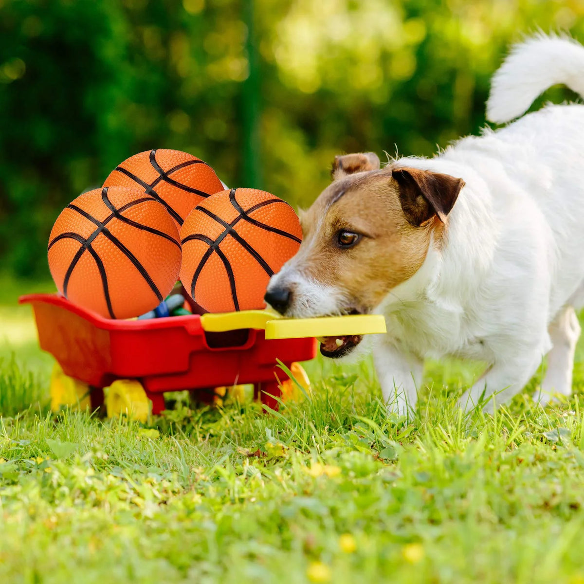 3 Packs 4.7 Inch Mini Inflatable Plastic Basketballs Toy N4520