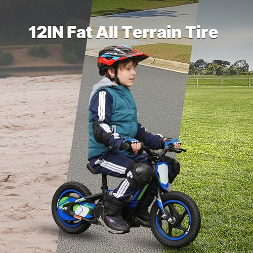 Lightweight 340W Electric Dirt Bike 24V 16-Inch Off-Road Tires P3657