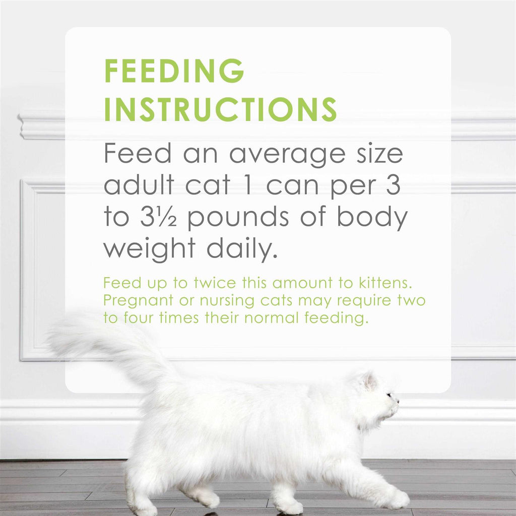 Grilled Cat Food H2472