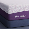10 inch Cooling Gel Memory Foam Mattress Queen E831