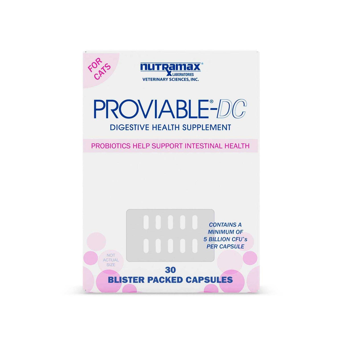 Cat Digestive Supplement Capsules B250333