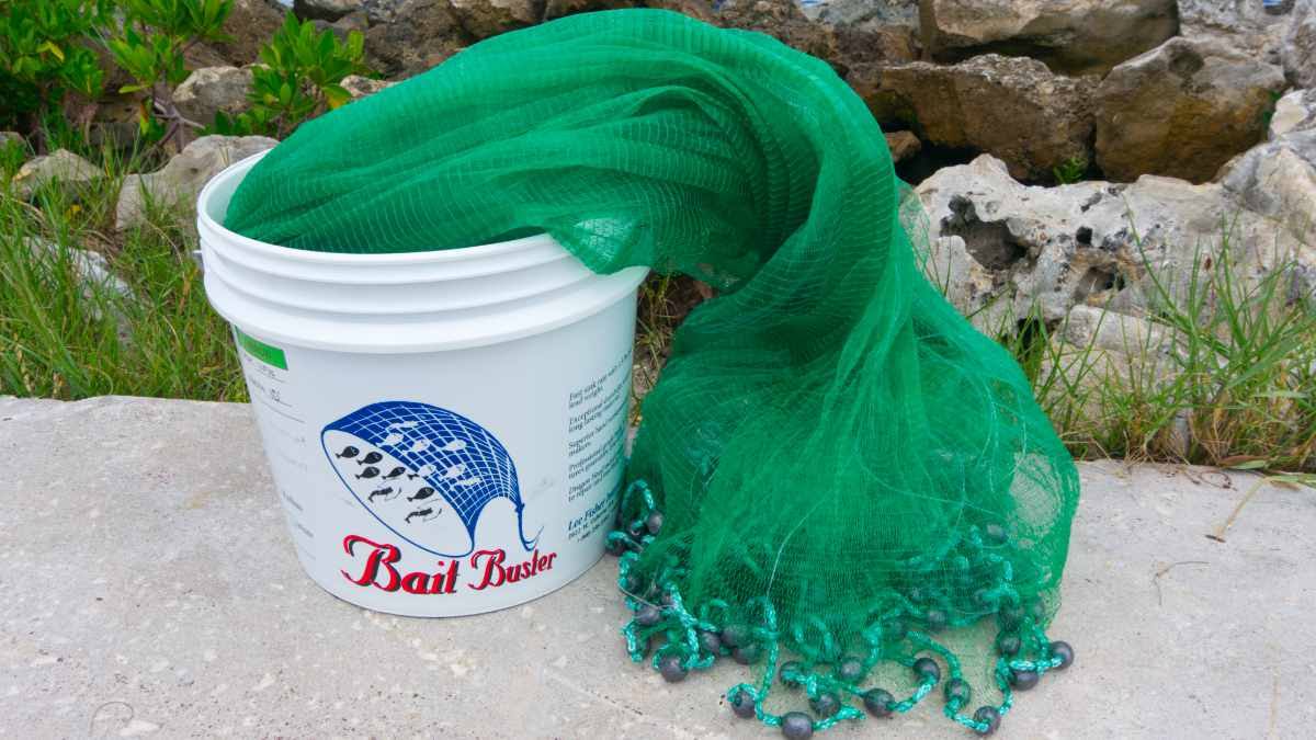 1/4x22 Sq. Mesh Minnow Cast Nets A592422