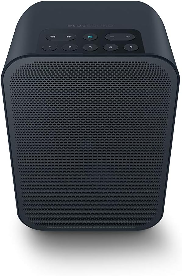 Black Portable Wireless Smart Speaker with Bluetooth V118953