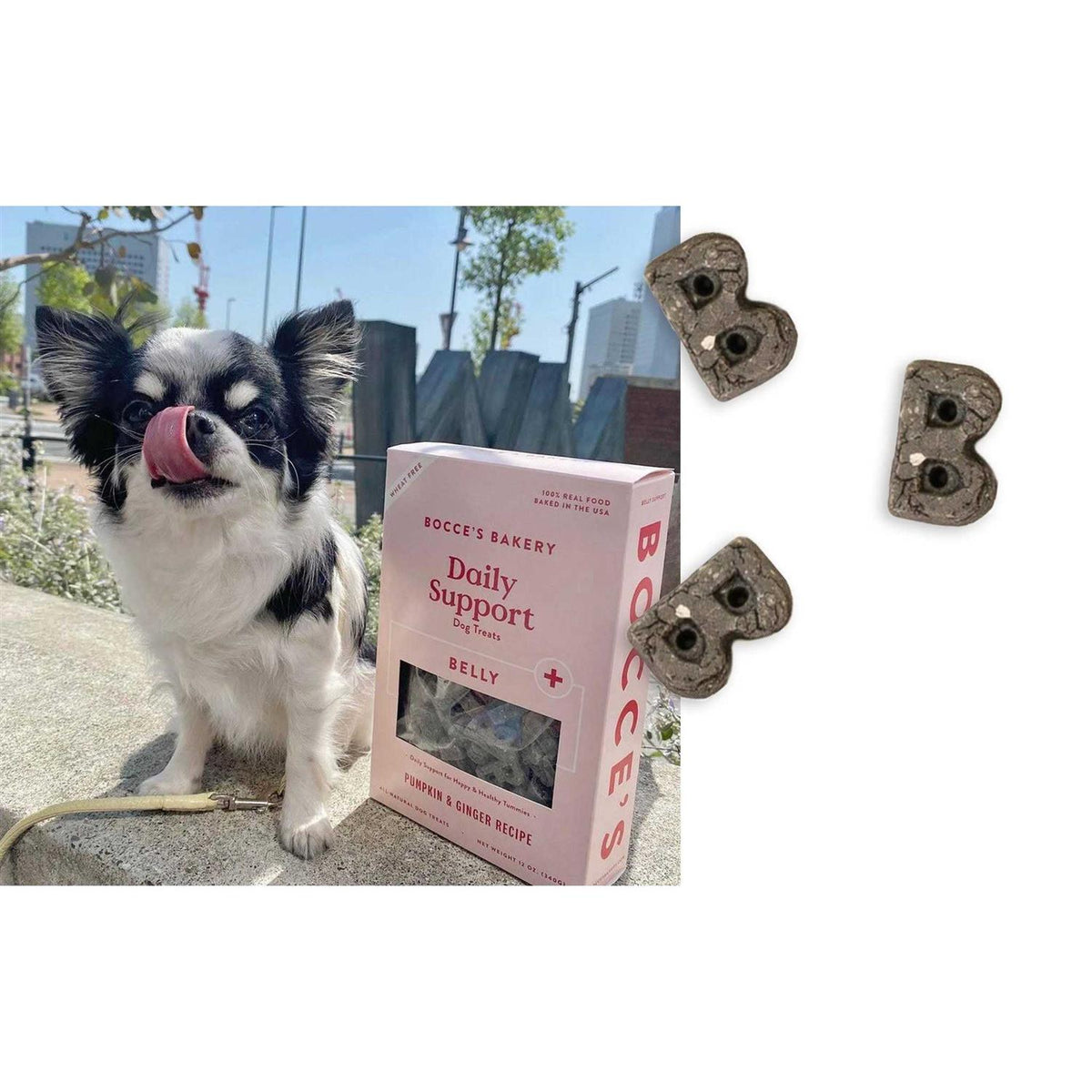 Dog Breath Aid Treats 12oz V575