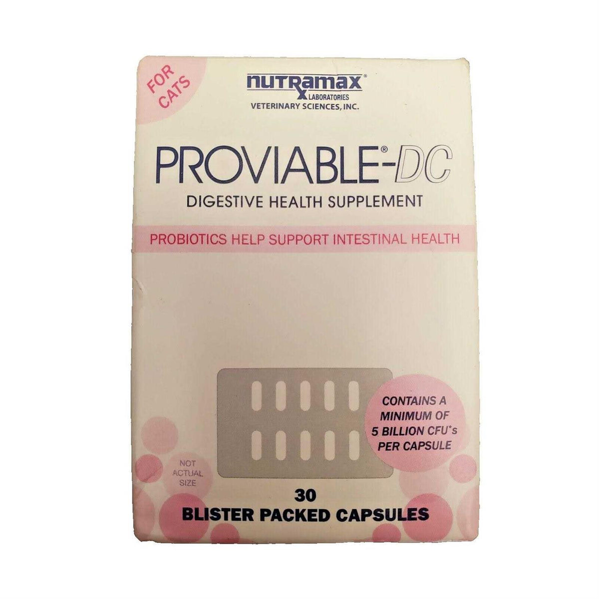 Cat Digestive Supplement Capsules B250333