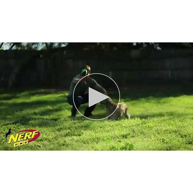 Dog Ball Dog Toy H4514