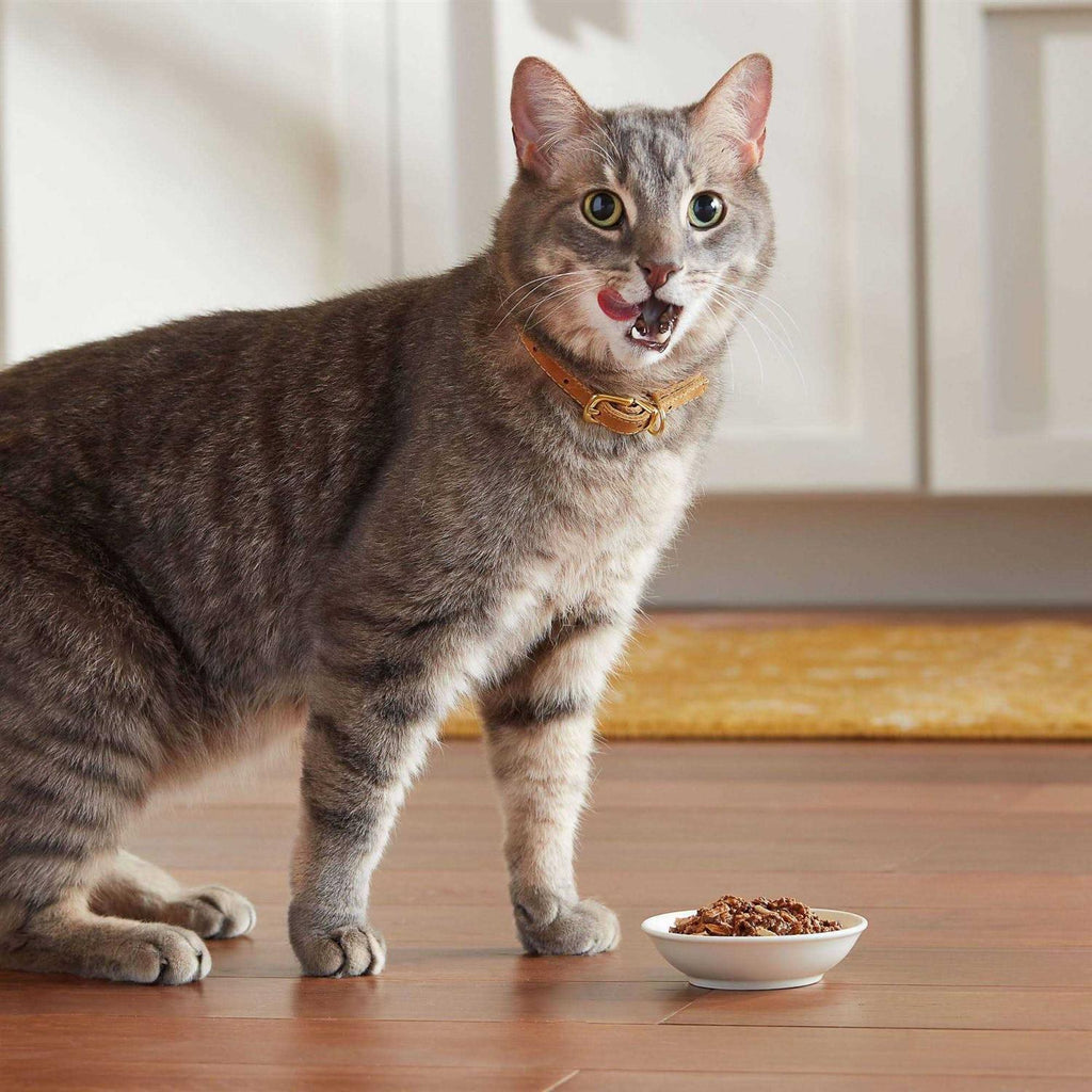Wet Cat Food O749492