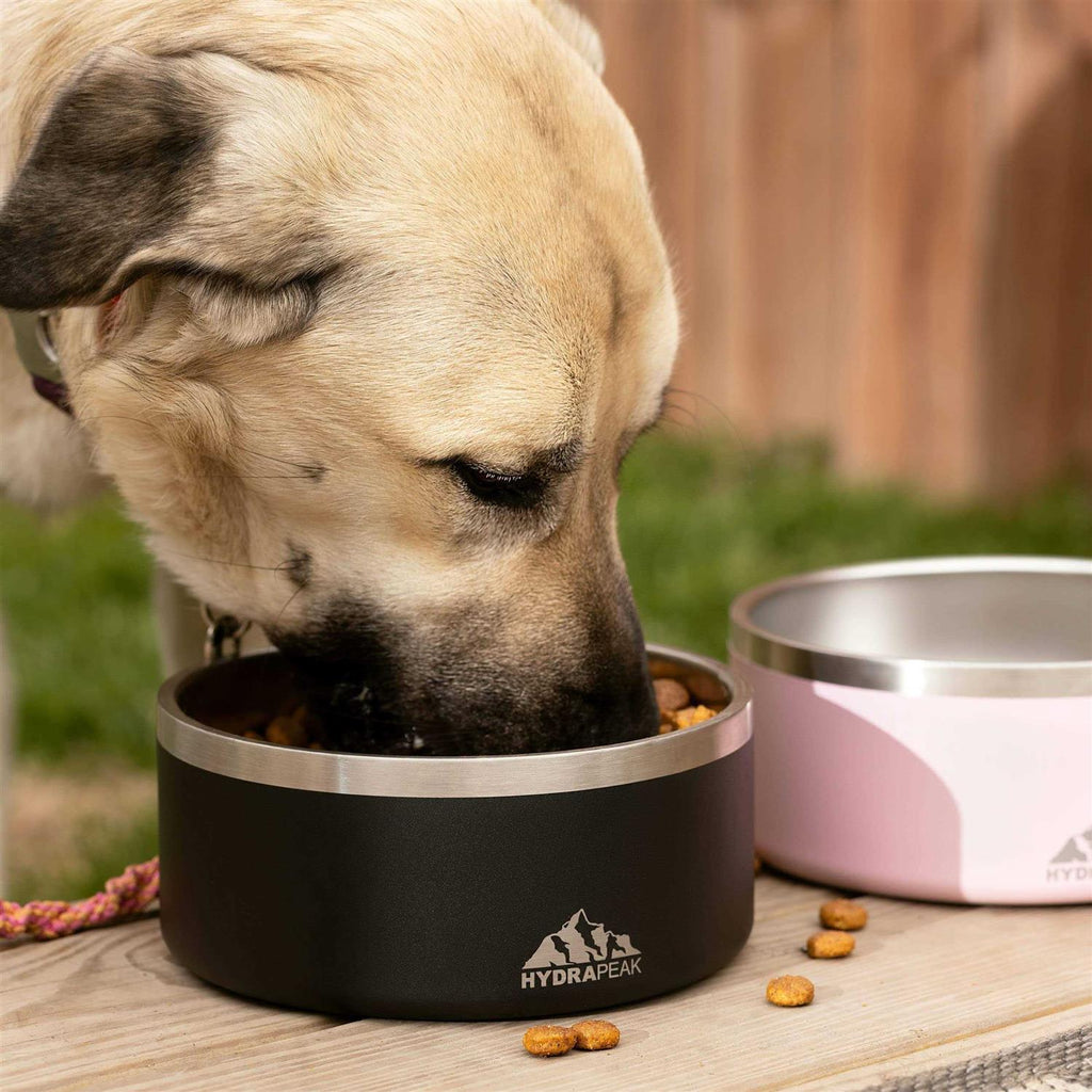 Non Slip Stainless Steel Dog Bowl C620