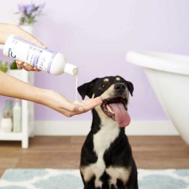 Shampoo for Dogs, Cats and Horses F52160