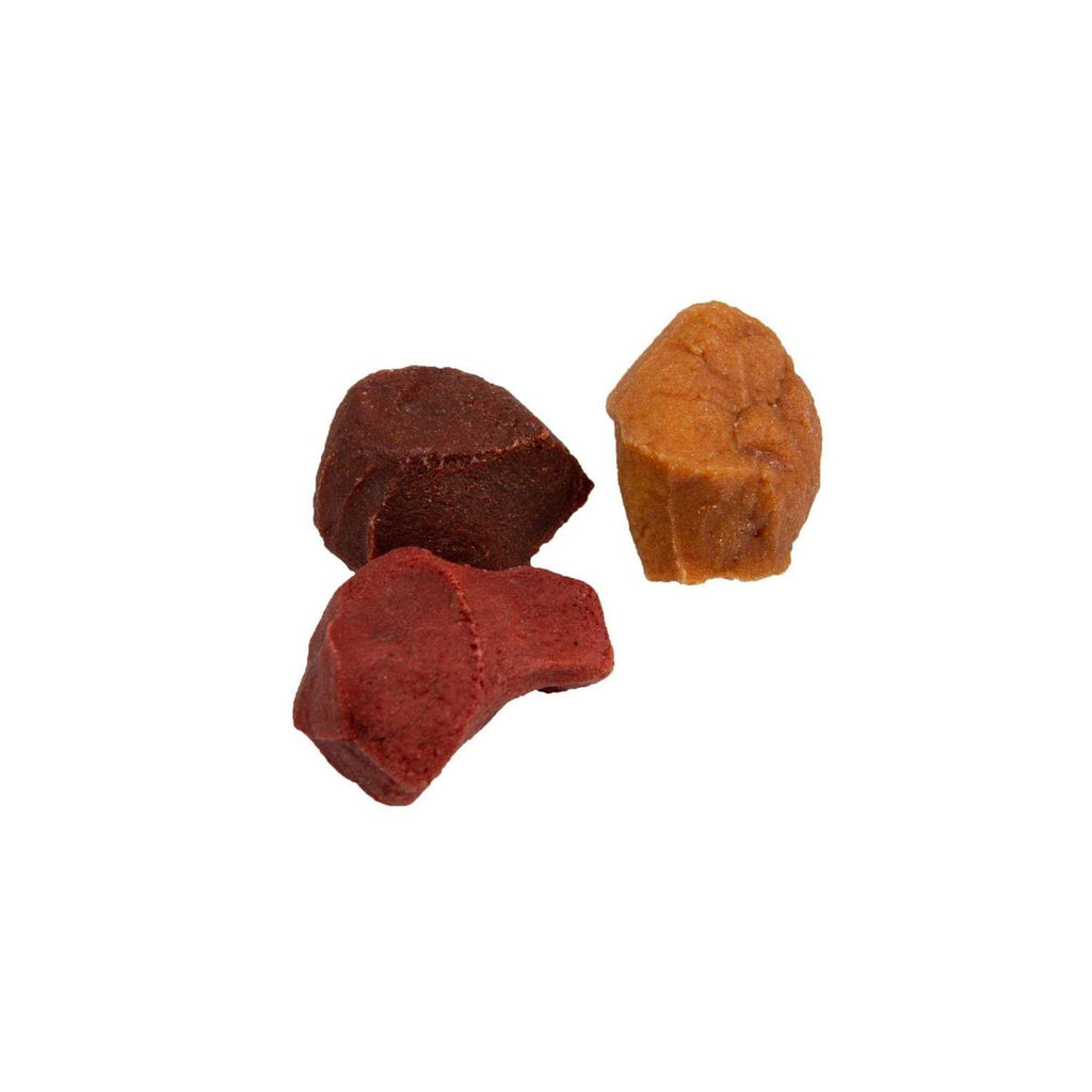 Kabob Bites Dog Treats J4923