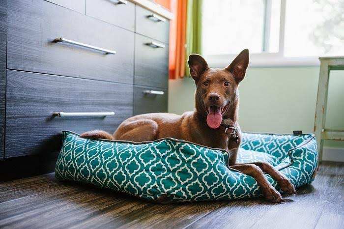 Moroccan Lounge Bed Medium Ash X441497