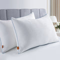 2 Pack Down Alternative Pillows with Removable Cover R3199