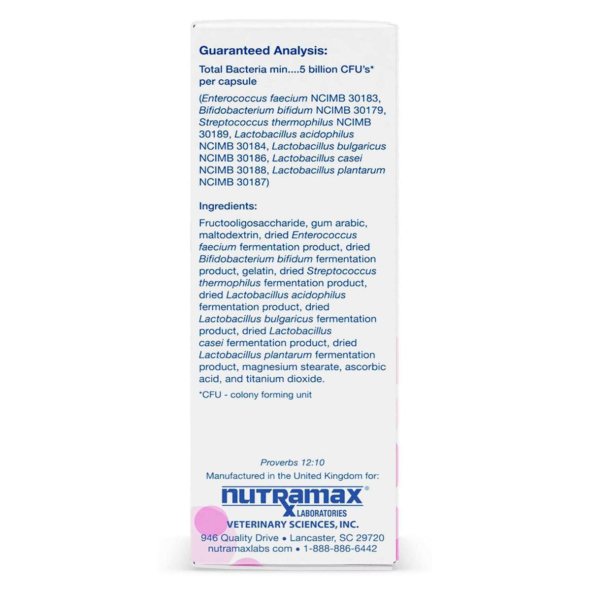 Cat Digestive Supplement Capsules B250333
