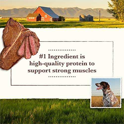 Grain-Free Pork Beef & Lamb Dry Dog Food V8299