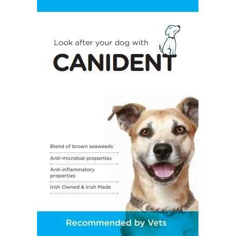 Clean Dogs Teeth O2814