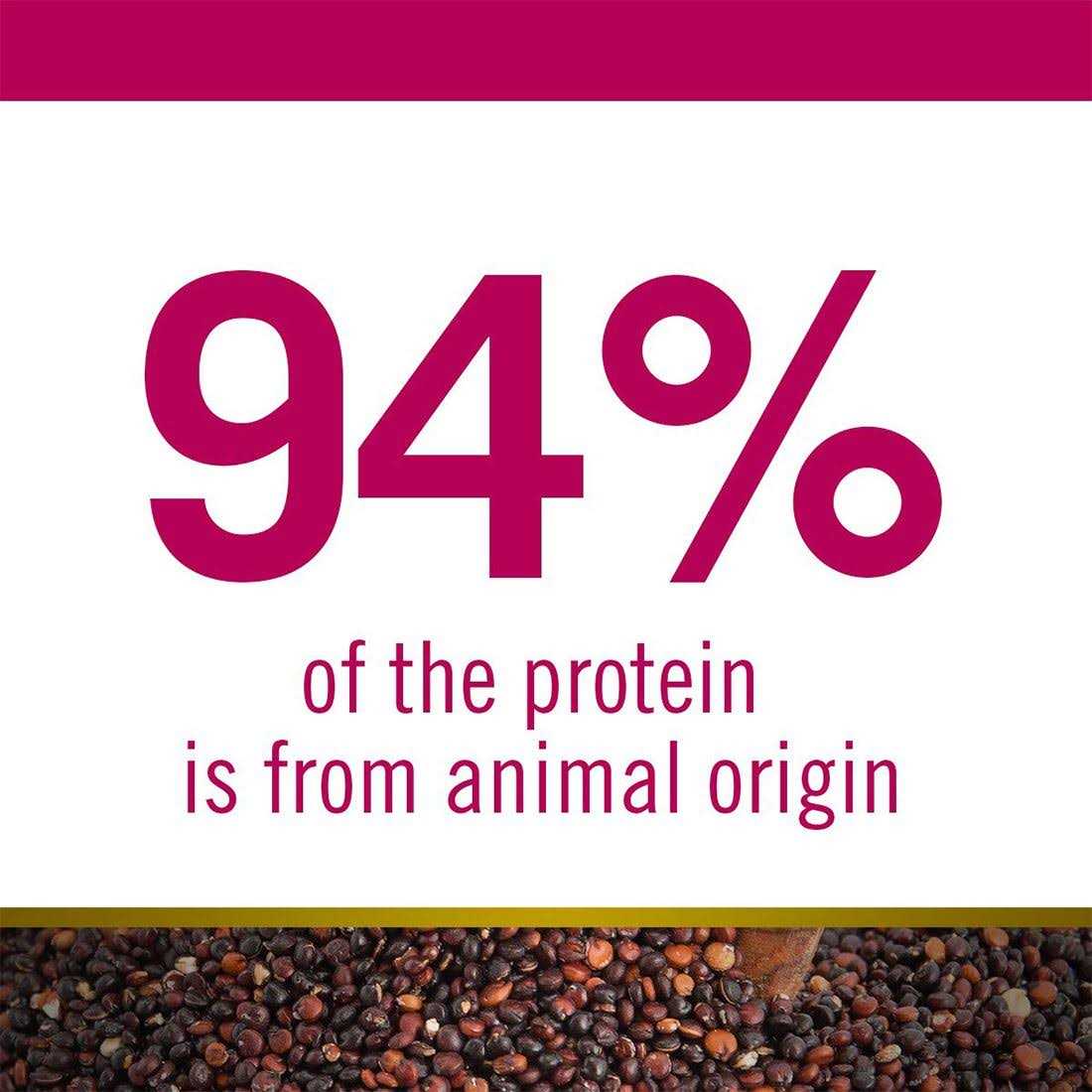 Quinoa Dog Food B900395