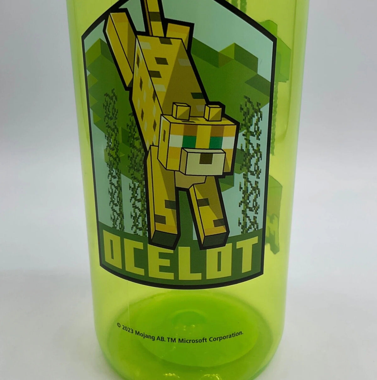 Green Water Bottle 20 oz Reusable Plastic V717853